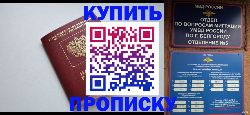 прописка регистрация в Шилке